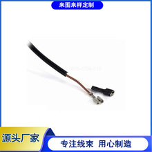源头工厂生产250直插电源端子线HDMI线 IDC连接线 LVDS 端子线
