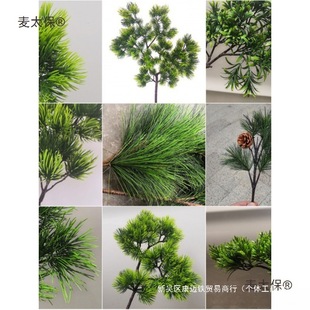 ���~���~�����_�h��̫���~��֦�ɰؘ�֦ӭ���ɷ����ɘ�������֦�l
