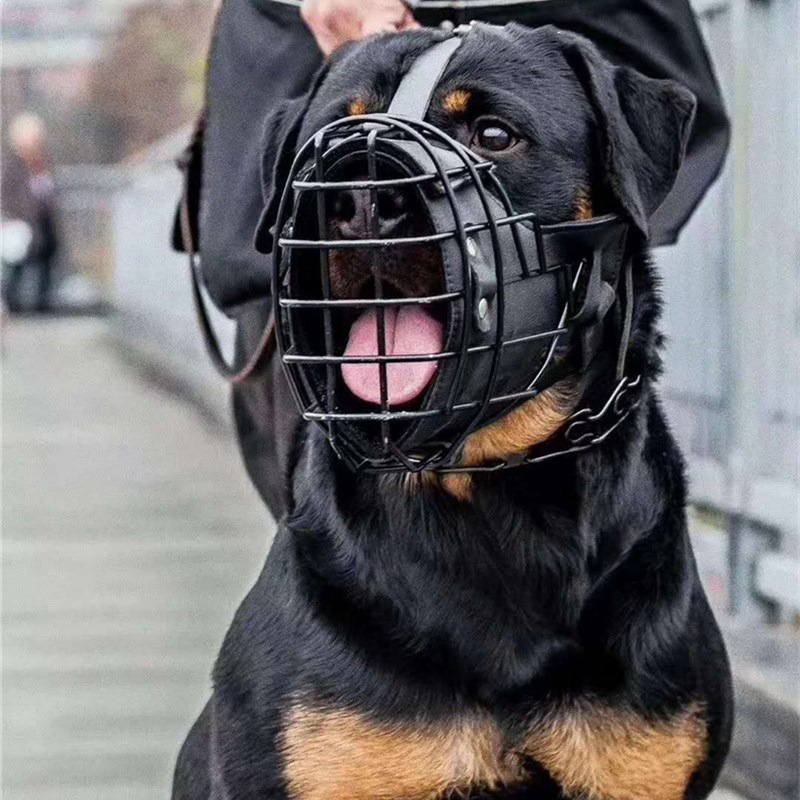 宠物战术口笼马犬金毛德牧撞击嘴套格力犬训练狗嘴套嘴罩防咬实战-阿里巴巴