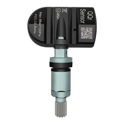 Tire pressure monitoring system Built-In Sensor Compatible with - buick-junwei-gunmetal-valve