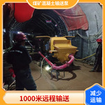 煤矿混凝土输送泵 煤矿巷道支护用微型混凝土输送泵 整机煤安证