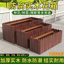 ����ľ�����L���νM�ϻ���ͥԺ�̨�N���茍ľ�řڷNֲ����⻨��