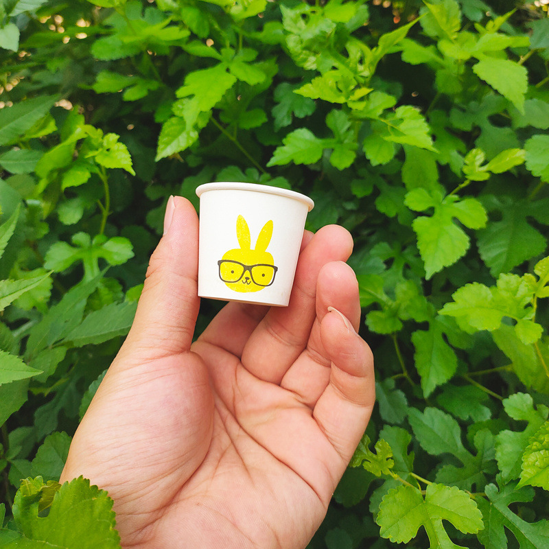 Taza de prueba, taza de vino, taza de papel desechable, taza de prueba pequeña, taza de degustación mini, taza de sorbo