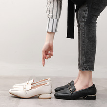 C-18 2022ˆЬ^ָӢЬŮ