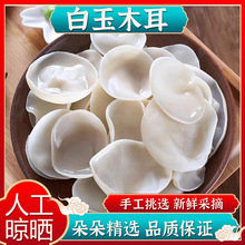 特产白玉木耳小碗耳干货干净无根玉木耳散装小碗耳肉厚凉拌代发