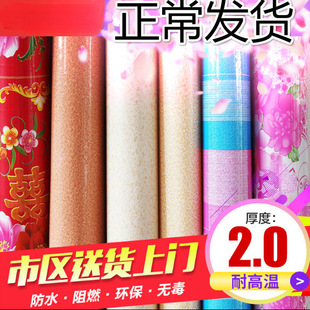 Electric Heating Floor Mat Northeastern Kang Leather Kang Mat Kang Pad Plastic Thickened Non-Slip Waterproof Plastic Kang for Home Use