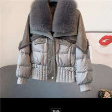 ѩ��Ƥëһ�wƴ���Z�q����ë�I��q���̿������@���¿�����