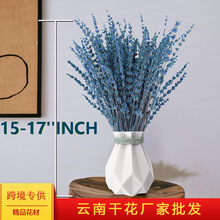干花批发新疆薰衣草干花花束diy干花礼物ins花束薰衣草跨境优选