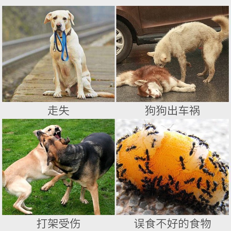 狗狗牵引绳自动可伸缩遛狗绳子防挣脱中型小犬泰迪柯基宠物用品|undefined