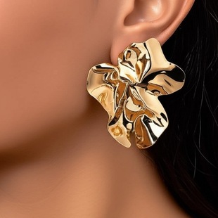 �W������Һ�B���ҽ��ِ��ęE�A��� �׺β�Ҏ�t�ް�earrings���