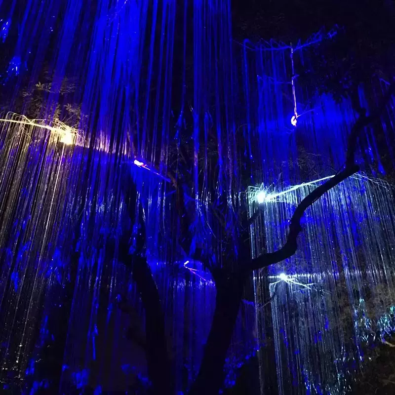 文旅灯光景观户外七彩展装饰灯挂树光纤网红灯室外新款舞台灯