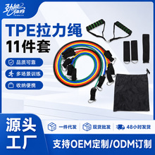 TPE带标11件套装拉力器登山扣拉力绳阻力带葫芦钩家用健身拉伸