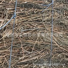 ���l������ș��ԭ�ϳ����r�aƷֲ��ԭș�� �̙z���� �R�m��