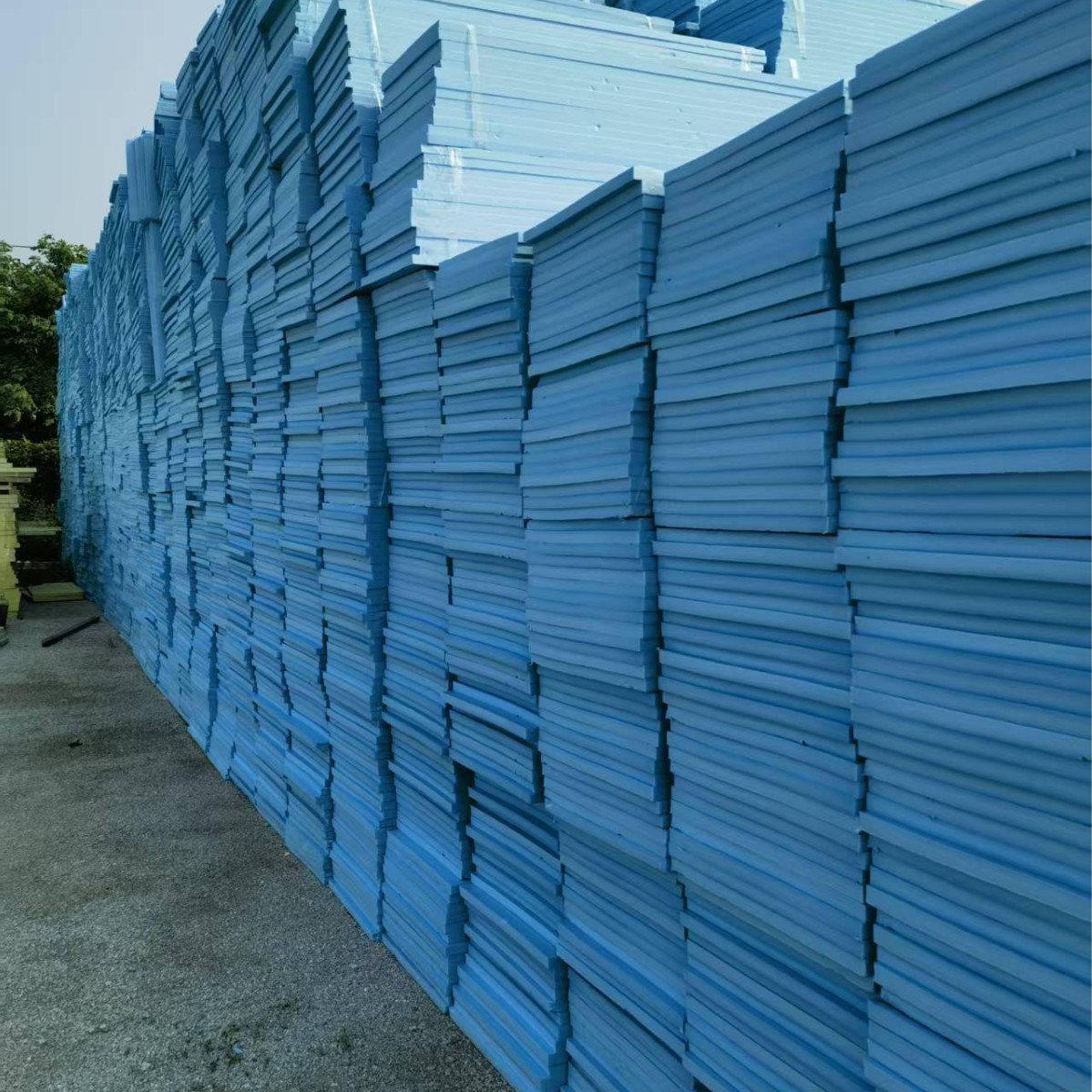 2025-03-24 09:30:57.jpg