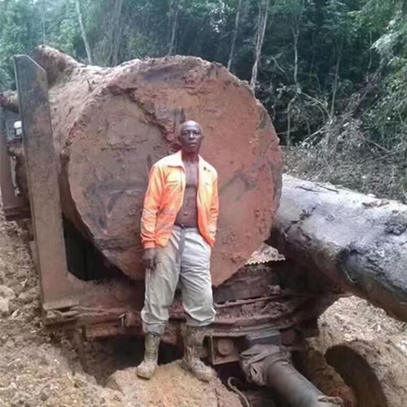 厂家直供柚木 菠萝格 芬兰木防腐木柳桉木 碳化木 车圆木 山樟木