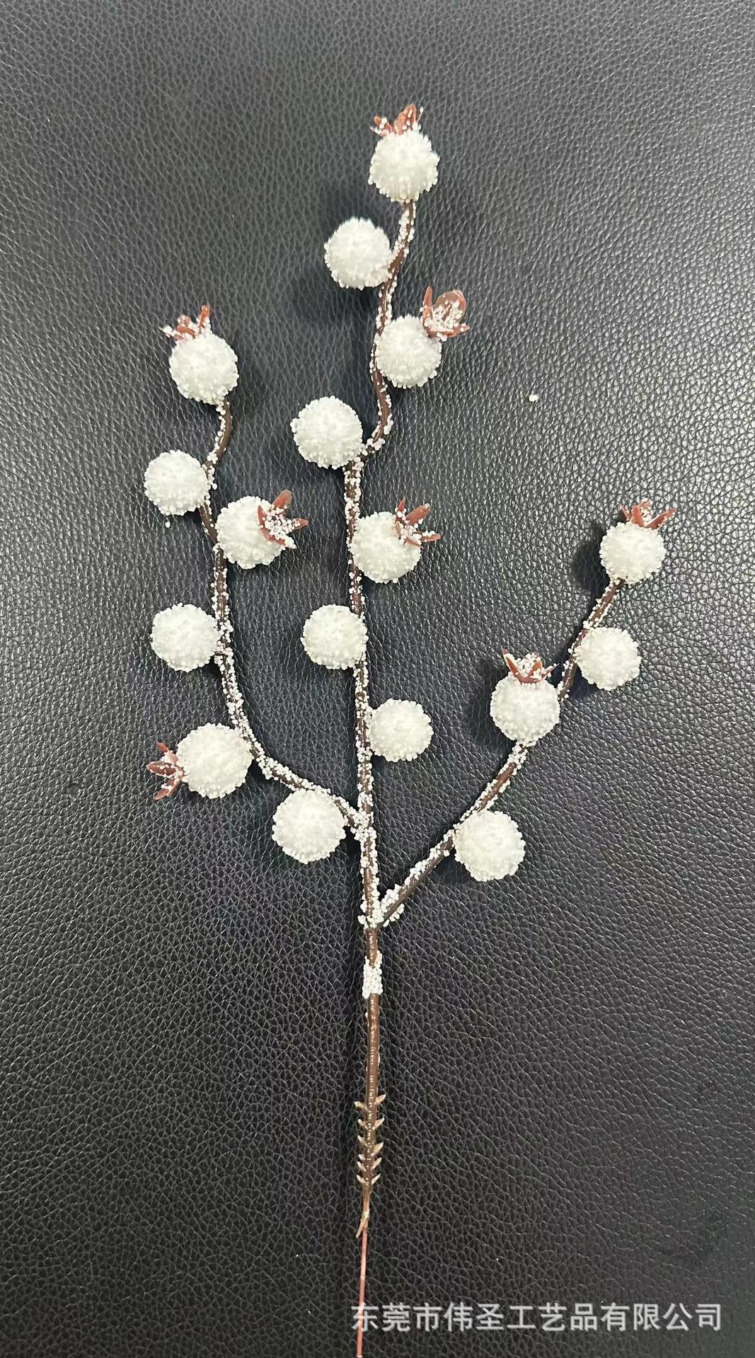 微信图片_20240828192317