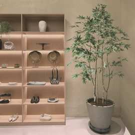 服装店枫树假树室内盆栽落地奢植物轻仿生绿植装饰摆件