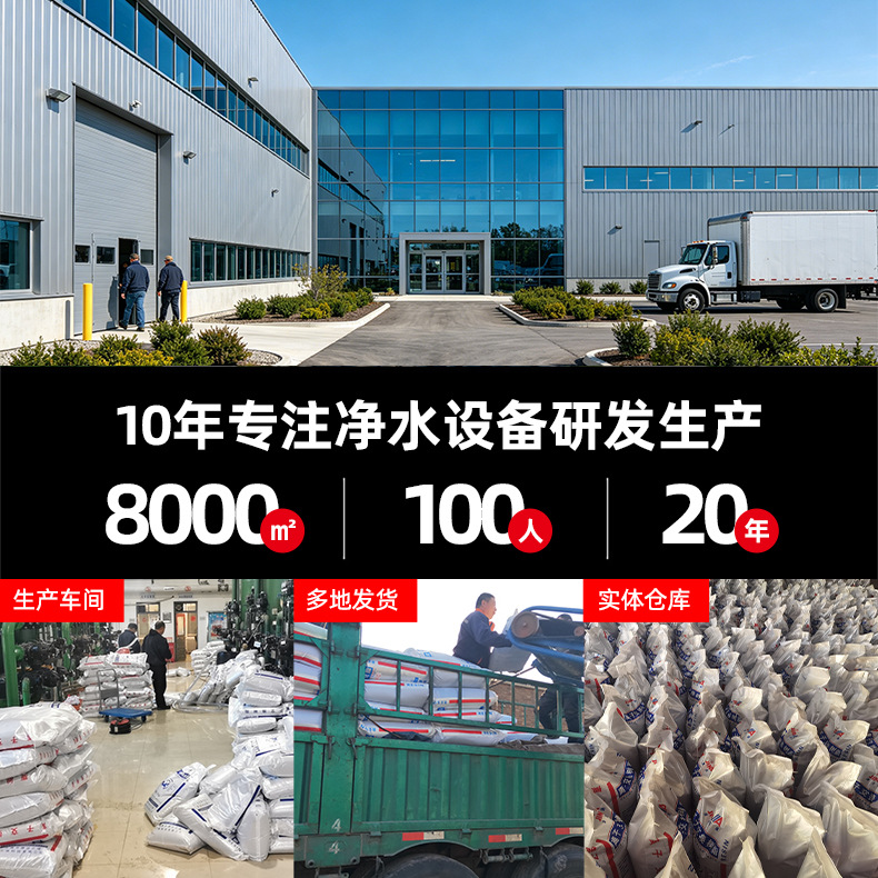 Анионит Jianquan D301 белый