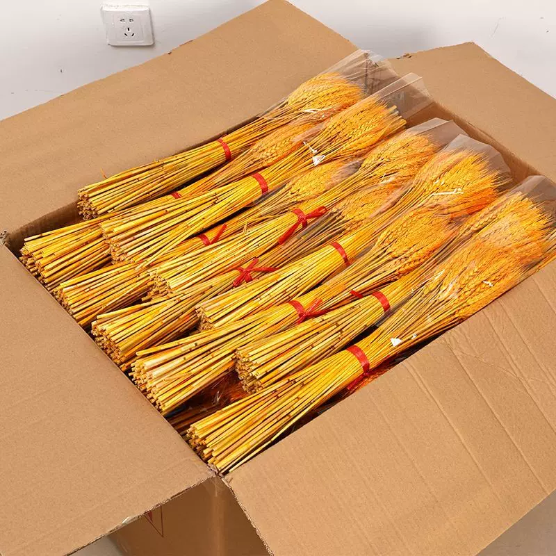 黄金大麦批发麦穗干花花束植物装饰开业花店插花花篮摆件拍摄干花