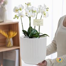 ?¿մɁQyWLs̖ش̖бPGֲ