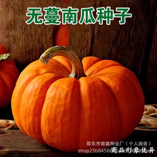 �o���ϹϷN�������Ϲϰ��������C���ϹϷN��ԭ�b�ļ��߲˷N�Ӵ�ȫ