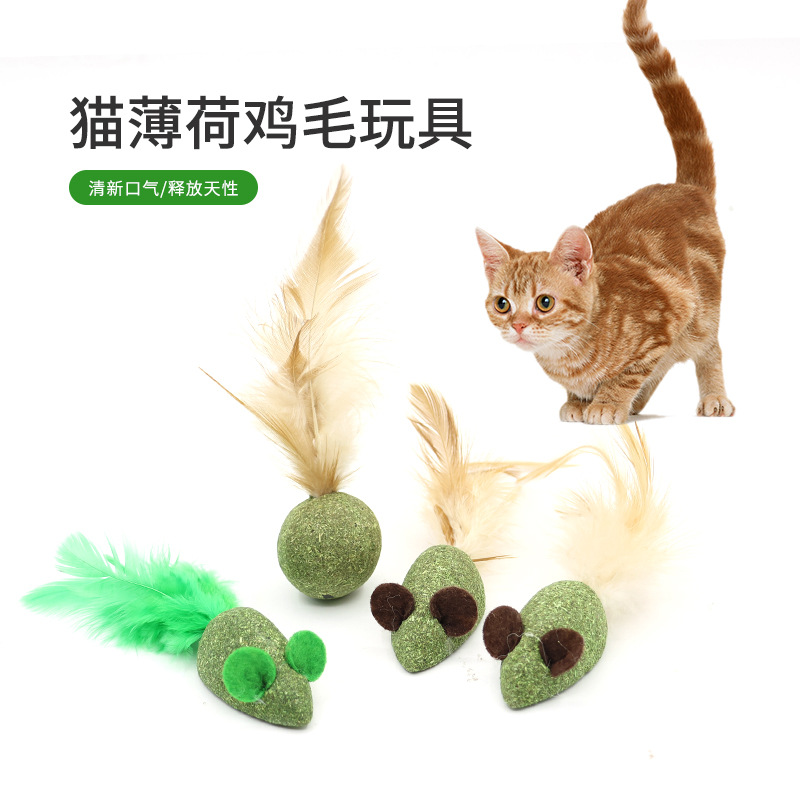 Chicken Feather Mouse Catnip Feather Tease Cat Stick Cat Internet Celebrant Toy Snacks Catnip Pet Supplies