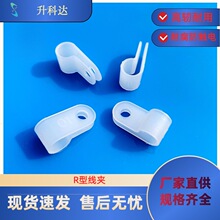 �S��ֱ�NR�;��A ���������A u�;��A�̶����A ����� �r��