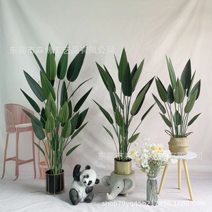 Wֲ˽insLb؄[;Gֲ͏d