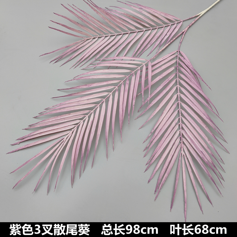 보라색 삼지 해바라기