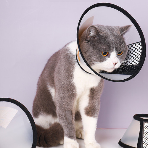 Cat Care Elizabethan Collar, Pet Post-Operative Bite and Scratch Neck Collar for Cats and Dogs, Pet Grooming Cover