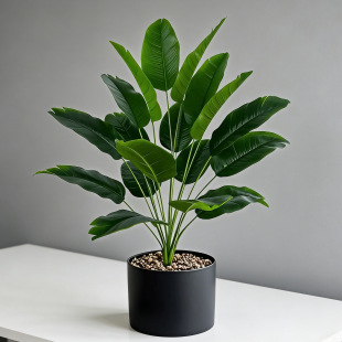 ����Gֲ�ߙn���˽��Ž��~�ָ��҃��辰�Ҿӑ����b[���Ĕz����