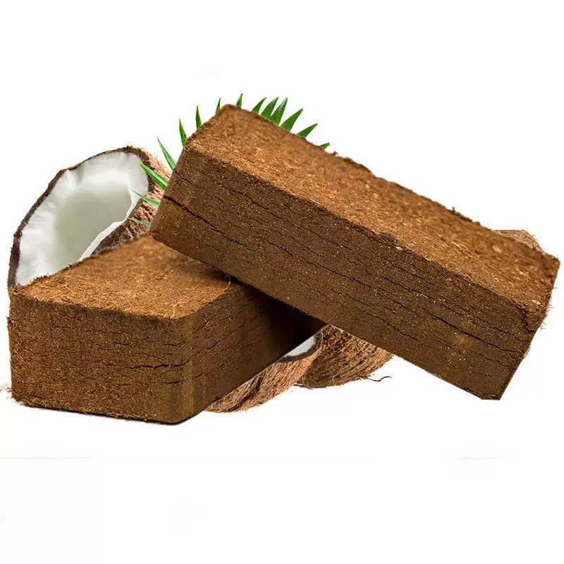 Культивируемый питательный почв Кокосовый отрубей Кирпич Кокосовый кирпич 650 г грубой кокосовой скорлупы