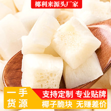 椰子薄脆椰子肉干新鲜椰肉烤椰子脆海南特产零食椰子脆块厂家直销
