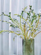 ������r�ȼ������r���仨ľ���r��֦ͬ������ˮ�B�����ɻ�