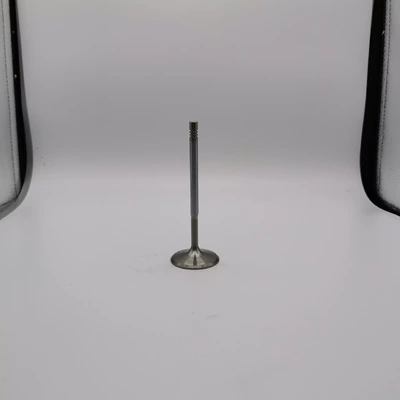 Valve components Exhaust Valves Are
