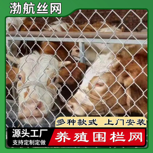 ţ����B�F�z�����WƬ���� �����\�F�z�W�����l �����Bֳ���o�W