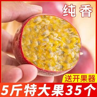���r�����5���ش����ϬFժ�����r������ɏ�̲��ԭ�{���u���l