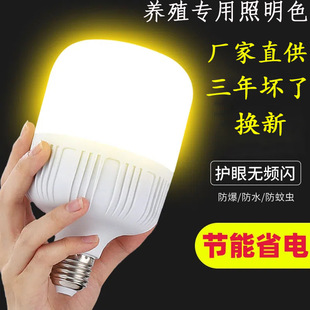 led养殖暖光灯泡E27螺口暖黄色高富帅灯节能灯暖光球泡超亮家用灯-阿里巴巴