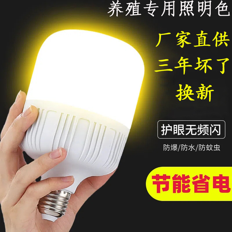 Led Breeding Warm Light Bulb E27 Screw Warm Yellow High-Fushuai Lamp Energy-Saving Lamp Warm Light Bulb Super Bright Household Lamp