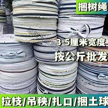 BZY.���L���Ĳ��l�K�������K�⎧�����������������ڴ�������֦�u