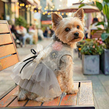 PETCIRCLE������b؈�乷���·������¿����Lϵ�л��ٽz�ʹڻ鼆