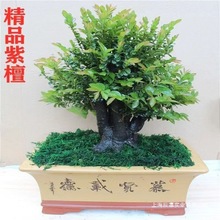 �ڹǲ��辰�䘶̴���҃���̴С�~�Gֲ���Դ�ֲ̨���̴ľ�ļ�����