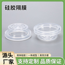 ���������늄Ӛ�� �ք�������͸�����z��Ĥ�h��Һ�wĸ����Ʒ