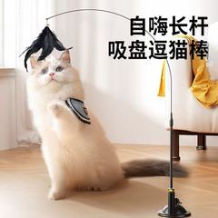吸盤は猫の棒を笑わせます。