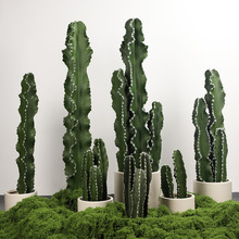 ���W�L��ë����w���������Է����������쾰�Gֲ�Ꭷɳ��ֲ���b�