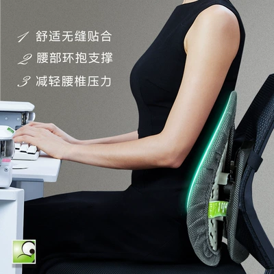 Office Waist Sedentary Waist | Waist support