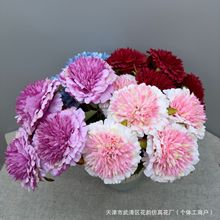 ¿7^zĵcYûˇܛbŴzӰ