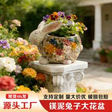 �羳�V�����Ӵ������ͥԺ���@�Gֲ���Ի���[���҃��̨�b�Ʒ