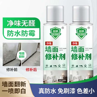 450ml墙面喷漆补墙膏雷牌水性漆涂鸦翻新污渍修补 自喷乳胶漆内墙