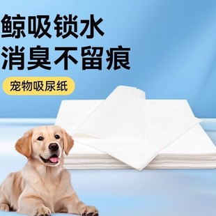 Pet Dog Diaper Pad Thickeneded Deodorizing Absorbent Teddy Cat Diaper Diaper Diaper Pad Absorbent Pad Production Pad